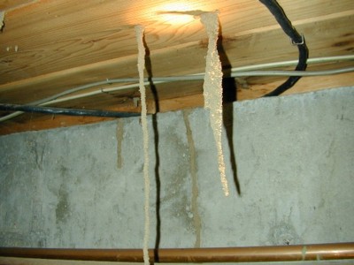 termite-shelter-tubes-hanging