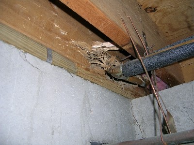 termite-damaged-sill-