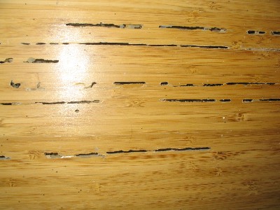 termite-damaged-floor